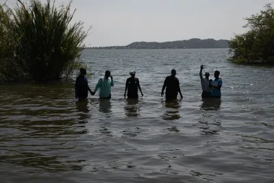 DSC_3325 (Large).JPG